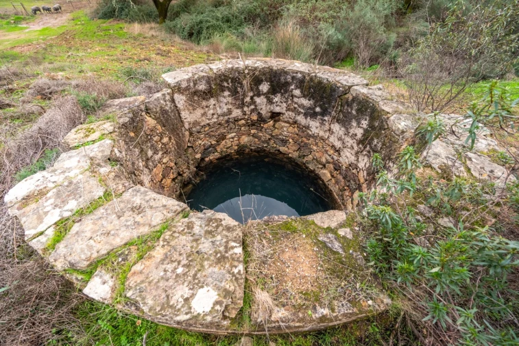 Quinta para Venda em Evora Monte (Santa Maria) Foto 24