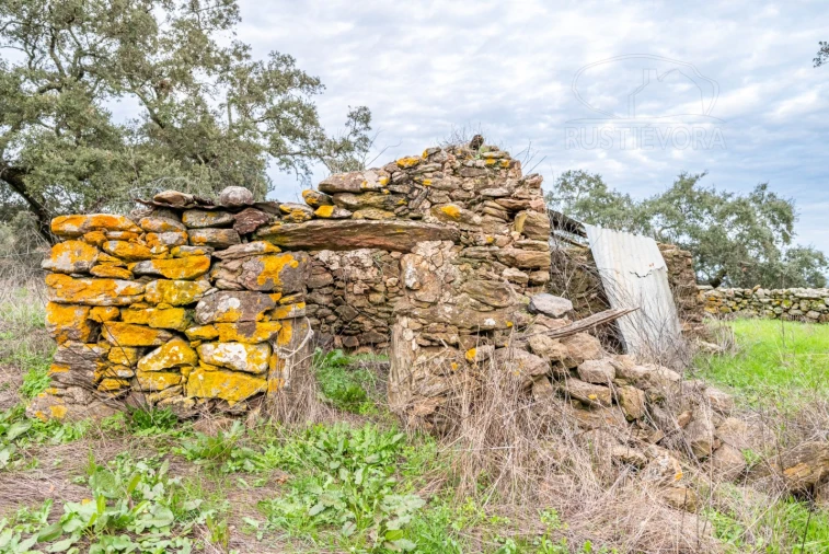 Quinta para Venda em Evora Monte (Santa Maria) Foto 29