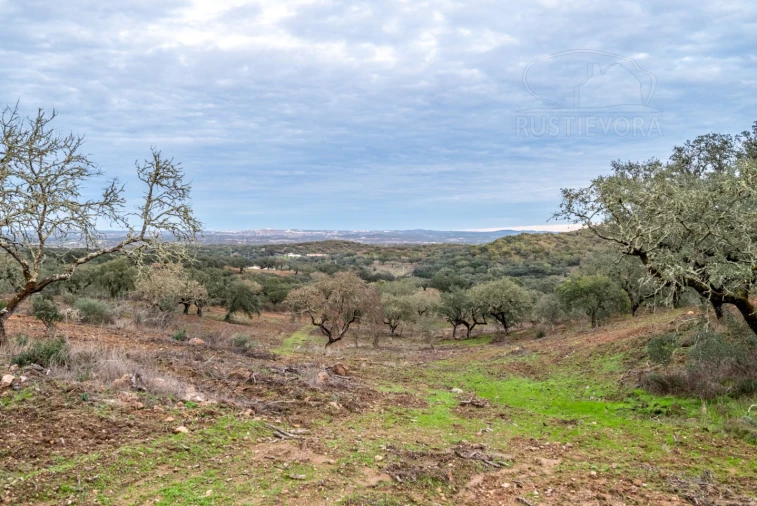 Quinta para Venda em Evora Monte (Santa Maria) Foto 33