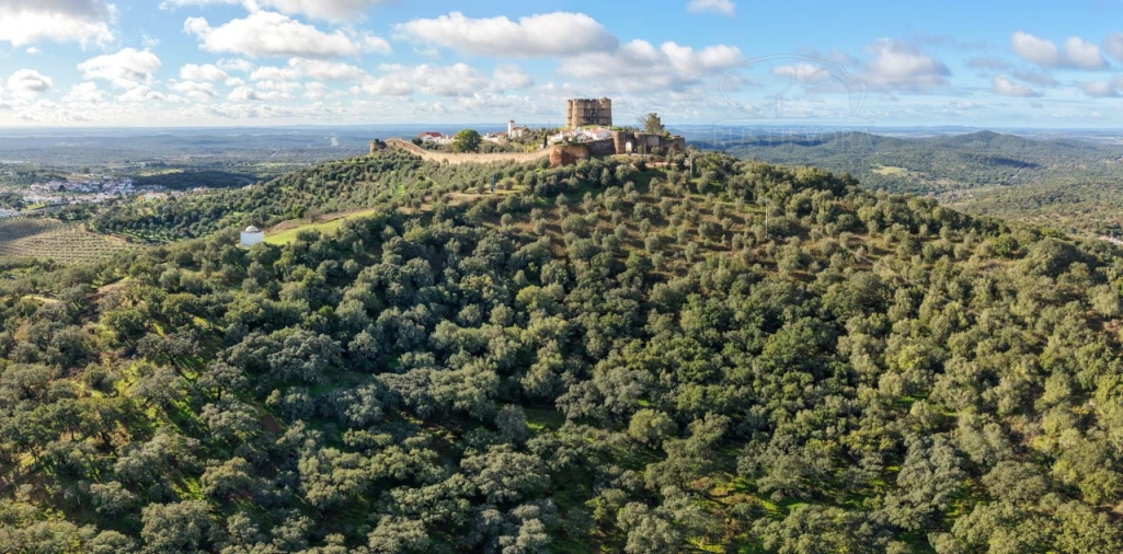 Quinta para Venda em Evora Monte (Santa Maria)
