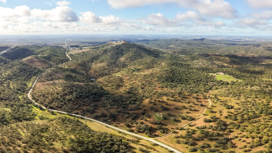 Quinta para Venda em Evora Monte (Santa Maria) Foto 4