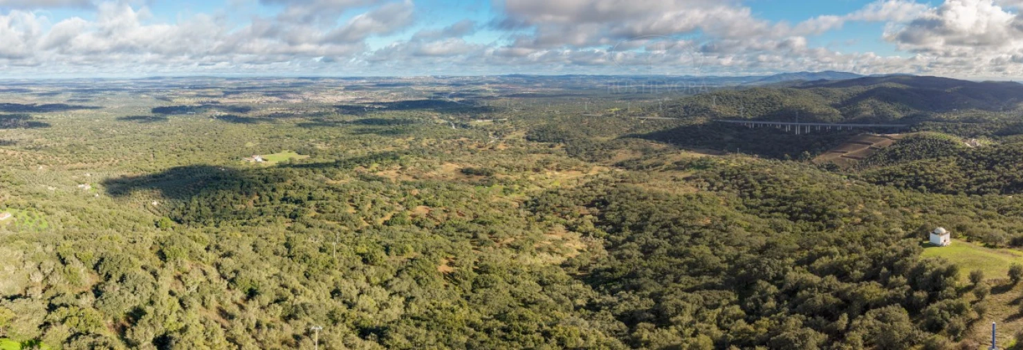 Quinta para Venda em Evora Monte (Santa Maria) Foto 35