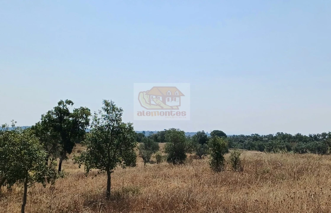 Terreno Misto para Venda em Grândola e Santa Margarida da Serra Foto 8