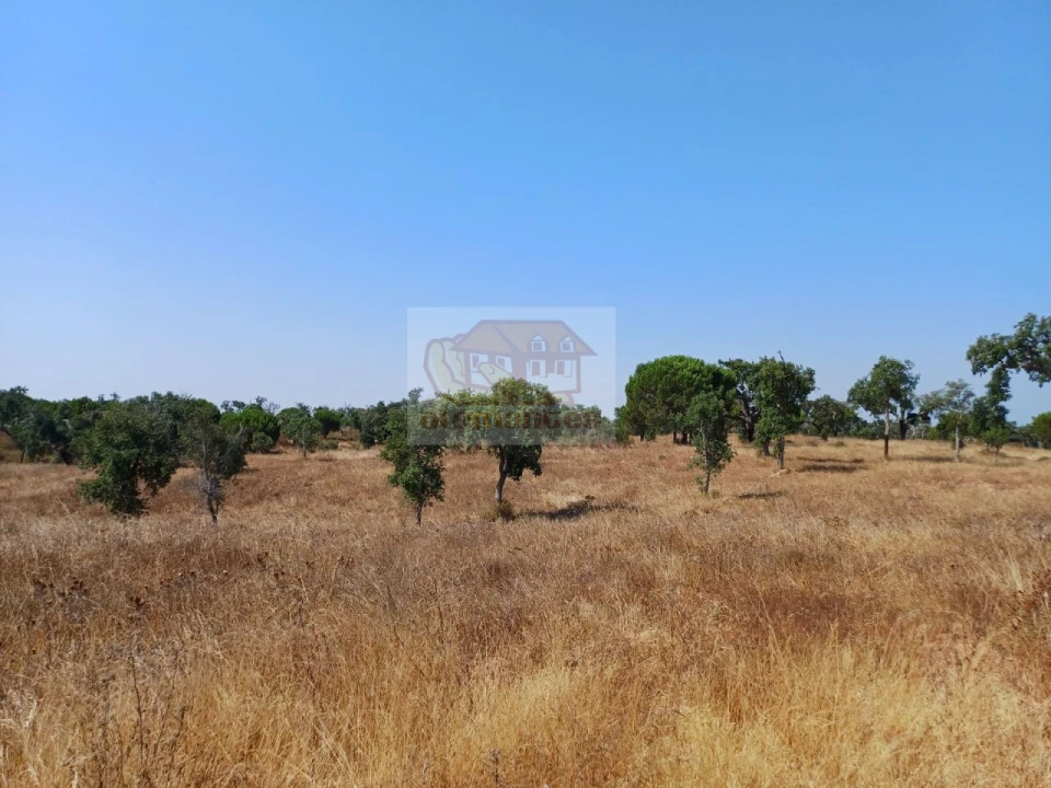 Terreno Misto para Venda em Grândola e Santa Margarida da Serra Foto 9