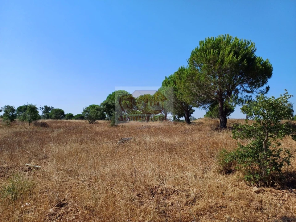 Terreno Misto para Venda em Grândola e Santa Margarida da Serra Foto 12