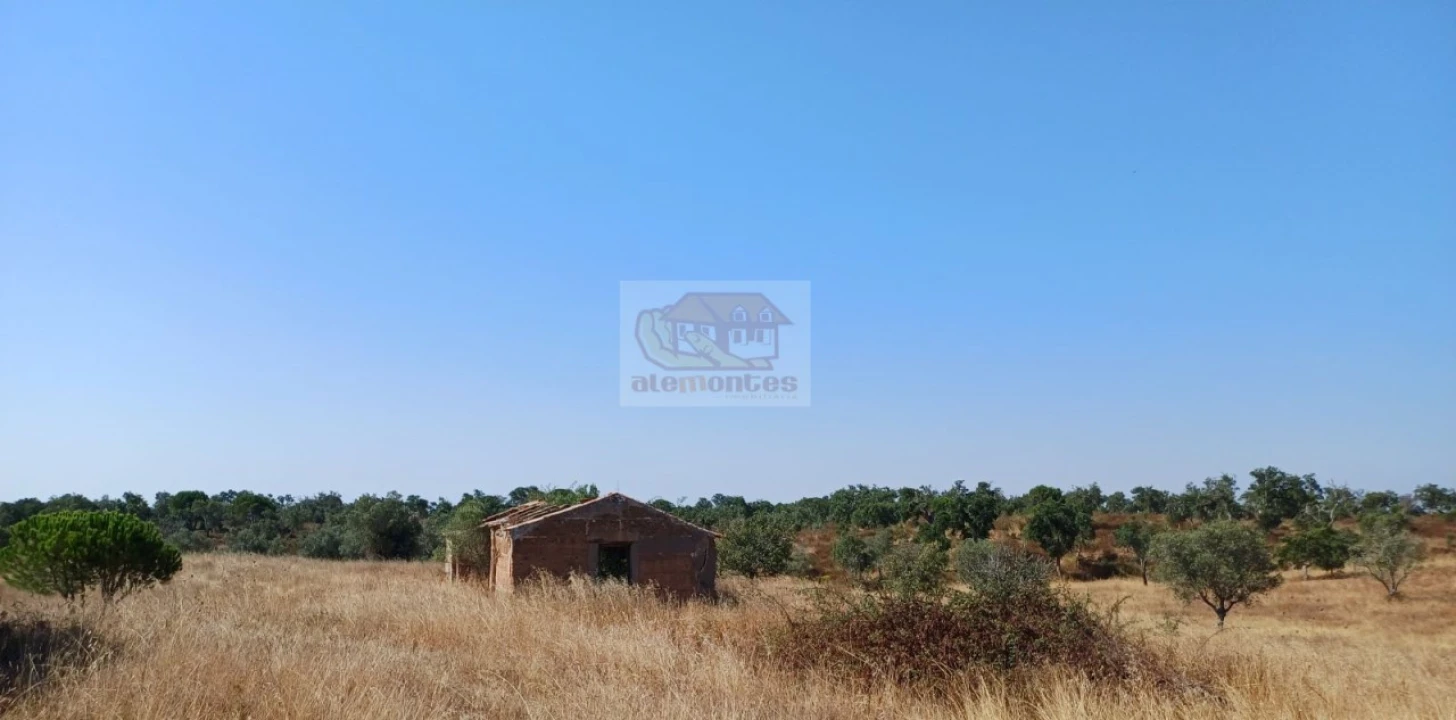 Terreno Misto para Venda em Grândola e Santa Margarida da Serra Foto 16