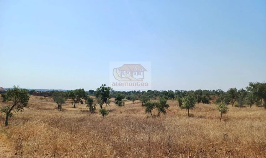 Terreno Misto para Venda em Grândola e Santa Margarida da Serra Foto 5