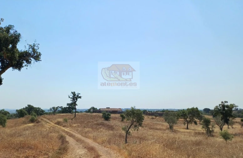 Terreno Misto para Venda em Grândola e Santa Margarida da Serra Foto 6