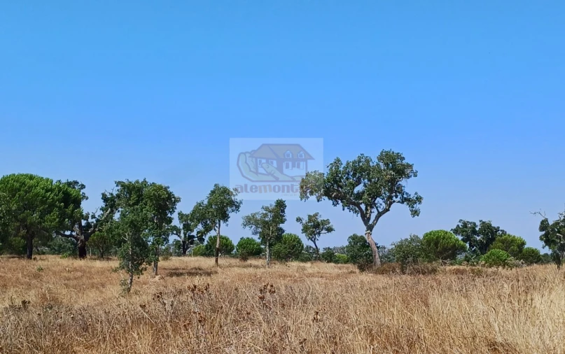 Terreno Misto para Venda em Grândola e Santa Margarida da Serra Foto 7