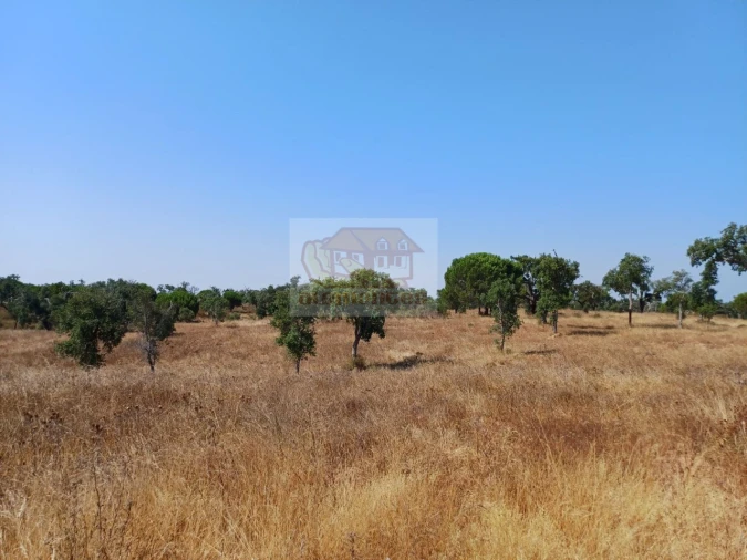 Terreno Misto para Venda em Grândola e Santa Margarida da Serra Foto 9