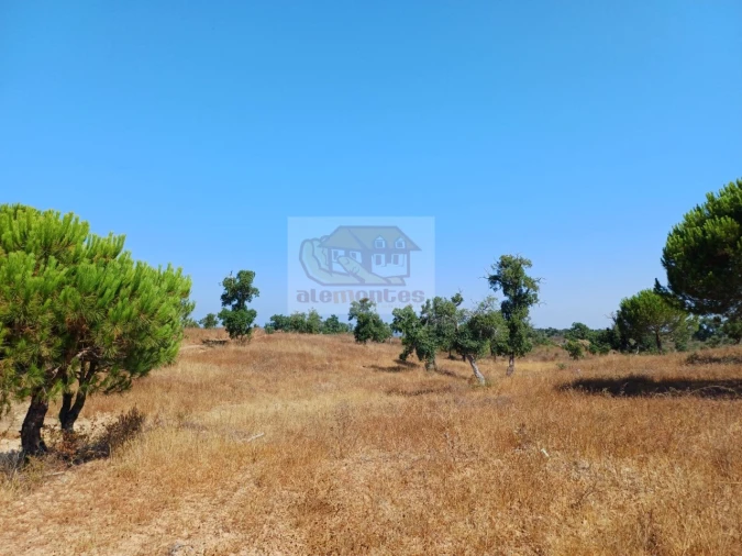 Terreno Misto para Venda em Grândola e Santa Margarida da Serra Foto 10