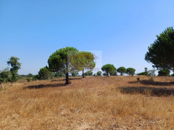 Terreno Misto para Venda em Grândola e Santa Margarida da Serra Foto 11