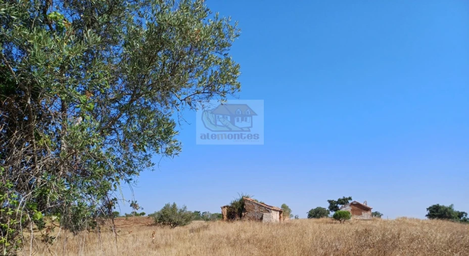 Terreno Misto para Venda em Grândola e Santa Margarida da Serra Foto 13