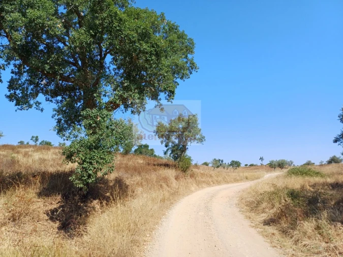 Terreno Misto para Venda em Grândola e Santa Margarida da Serra Foto 15