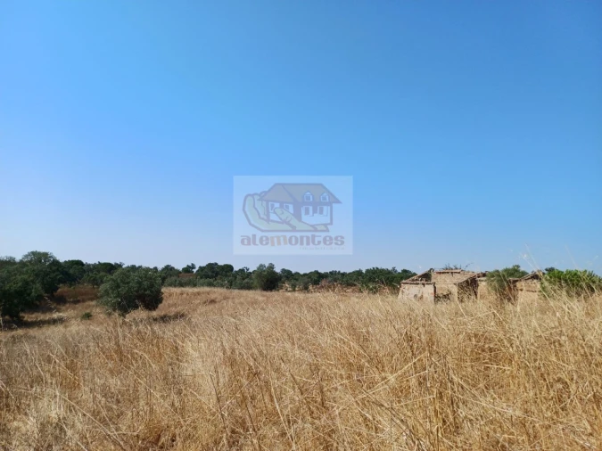 Terreno Misto para Venda em Grândola e Santa Margarida da Serra Foto 17