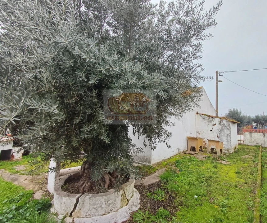 Moradia T3 para Venda em Santa Maria do Castelo e Santiago e Santa Susana Foto 4