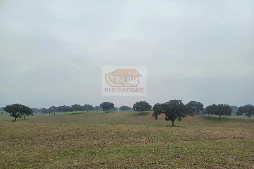 Moradia T3 para Venda em Santa Maria do Castelo e Santiago e Santa Susana Foto 17