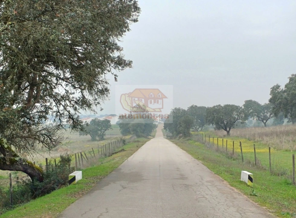 Moradia T3 para Venda em Santa Maria do Castelo e Santiago e Santa Susana Foto 18