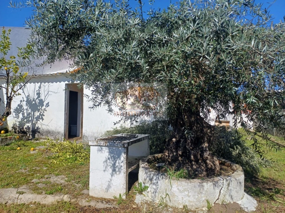 Moradia T3 para Venda em Santa Maria do Castelo e Santiago e Santa Susana Foto 1