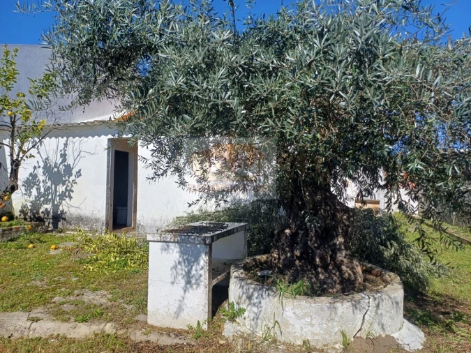 Moradia T3 para Venda em Santa Maria do Castelo e Santiago e Santa Susana Foto 1