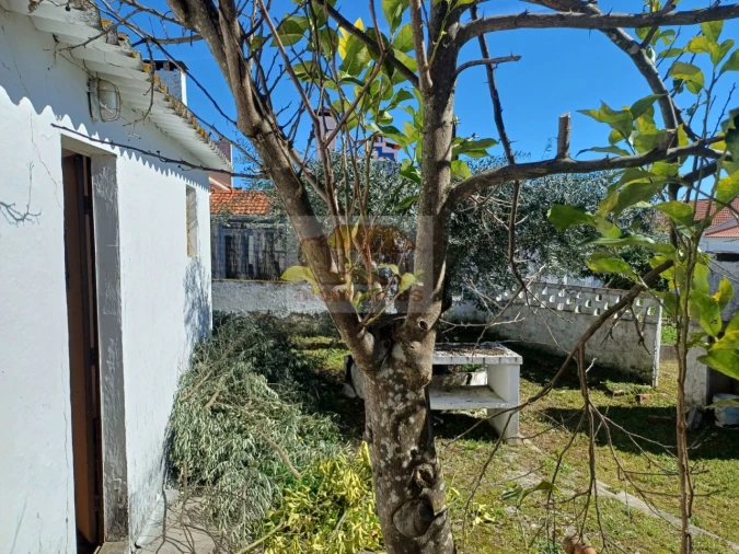 Moradia T3 para Venda em Santa Maria do Castelo e Santiago e Santa Susana Foto 16