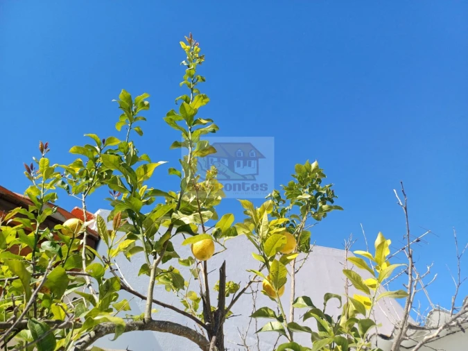 Moradia T3 para Venda em Santa Maria do Castelo e Santiago e Santa Susana Foto 17