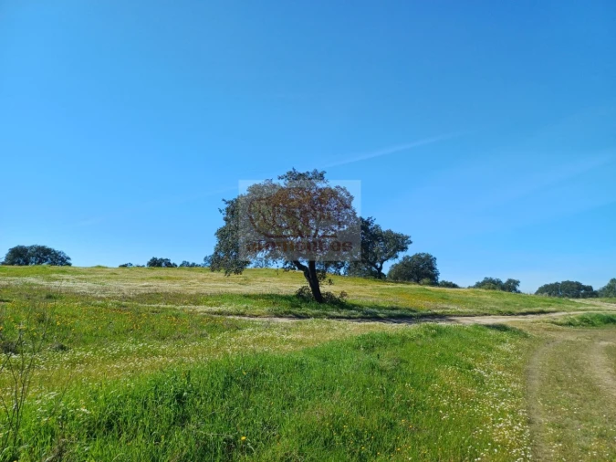 Moradia T3 para Venda em Santa Maria do Castelo e Santiago e Santa Susana Foto 21