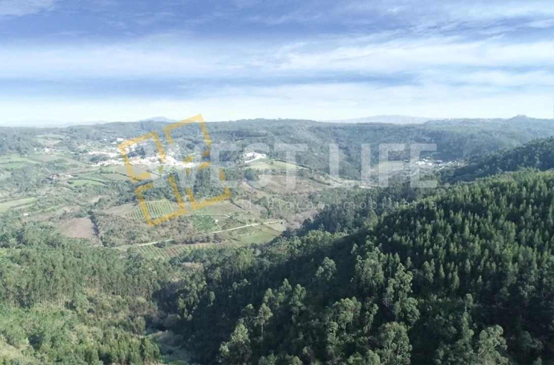 Terreno para Venda em Mafra Foto 26