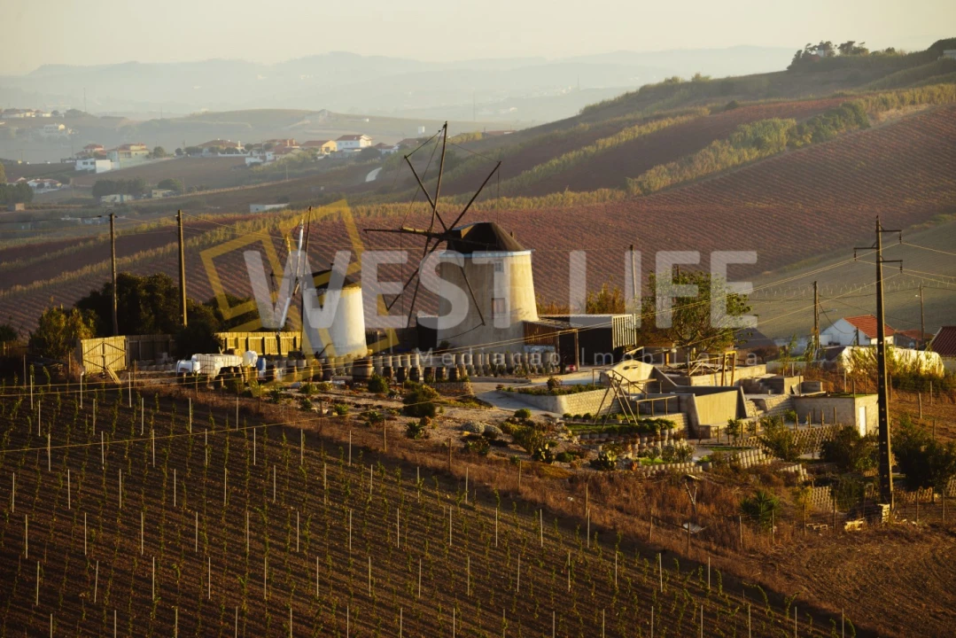 Moradia T3 para Venda em Ericeira Foto 23