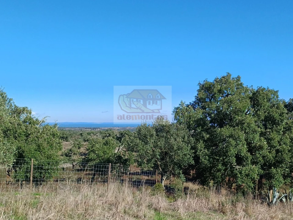 Terreno Misto para Venda em Grândola e Santa Margarida da Serra Foto 1