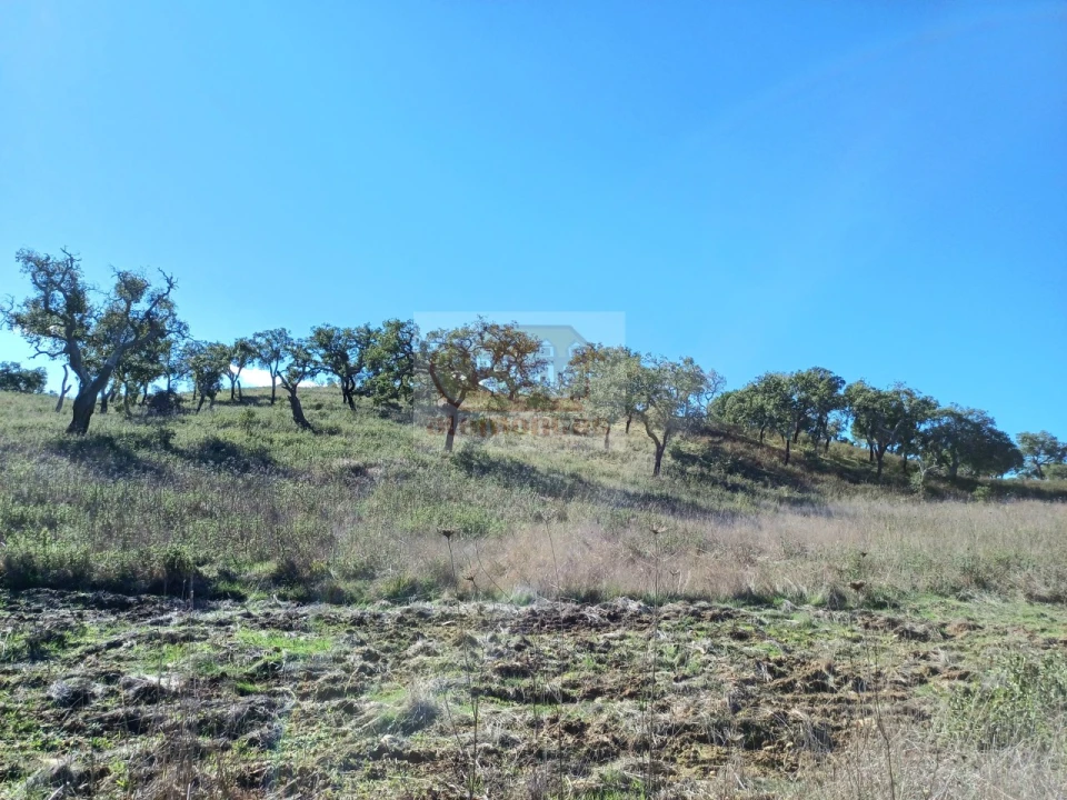 Terreno Misto para Venda em Grândola e Santa Margarida da Serra Foto 5
