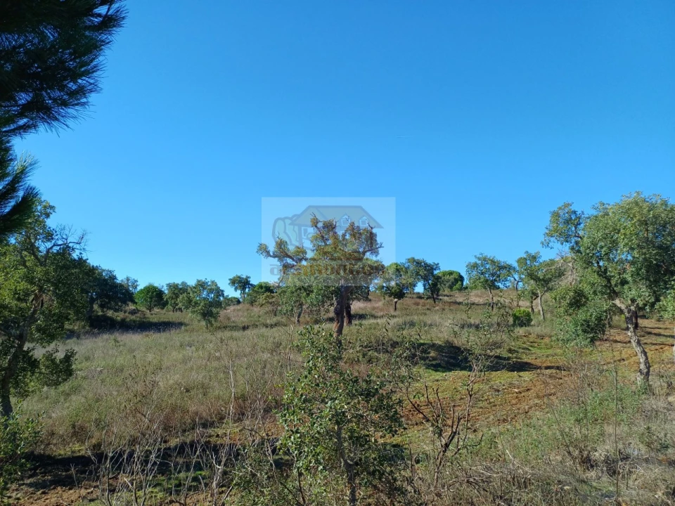 Terreno Misto para Venda em Grândola e Santa Margarida da Serra Foto 7