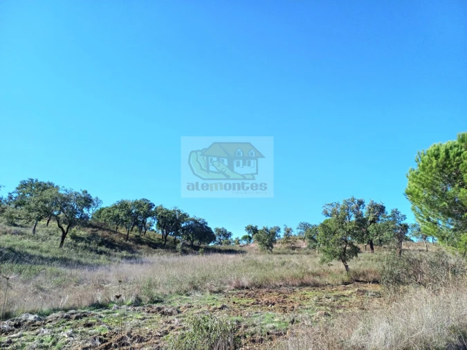 Terreno Misto para Venda em Grândola e Santa Margarida da Serra Foto 3