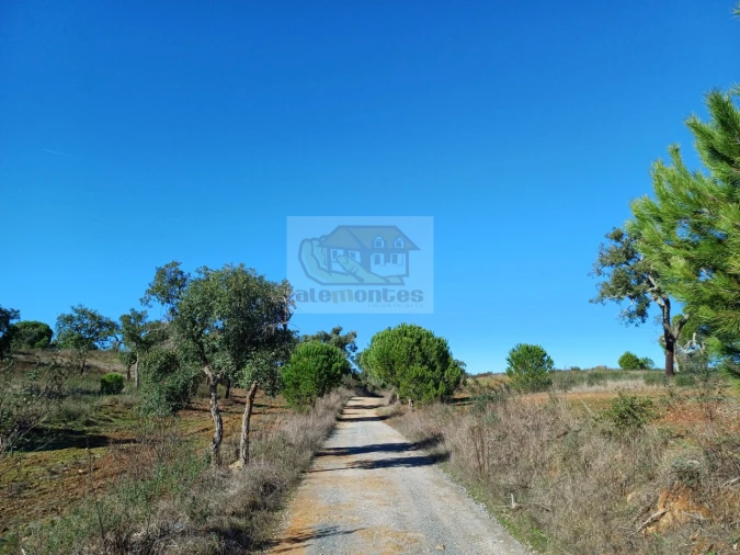 Terreno Misto para Venda em Grândola e Santa Margarida da Serra Foto 15