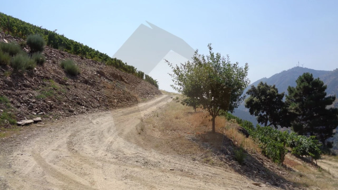 Quinta para Venda em Desejosa Foto 19