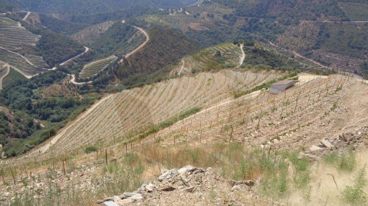 Quinta para Venda em Desejosa Foto 23