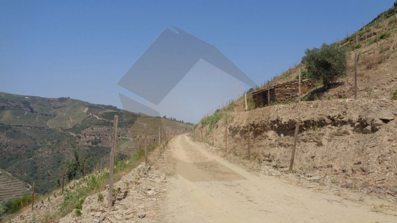 Quinta para Venda em Desejosa Foto 25