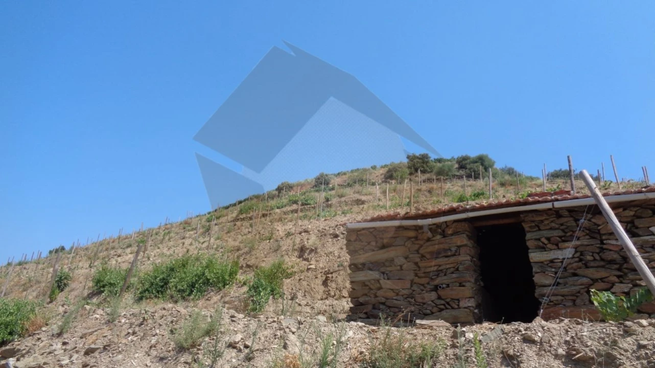 Quinta para Venda em Desejosa Foto 26