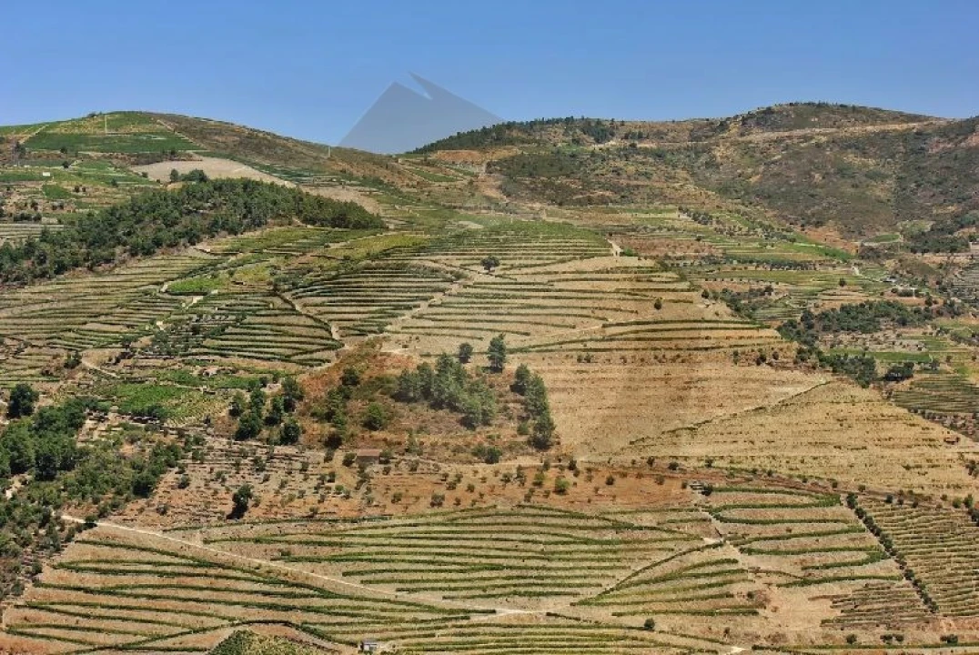 Quinta para Venda em Desejosa Foto 18