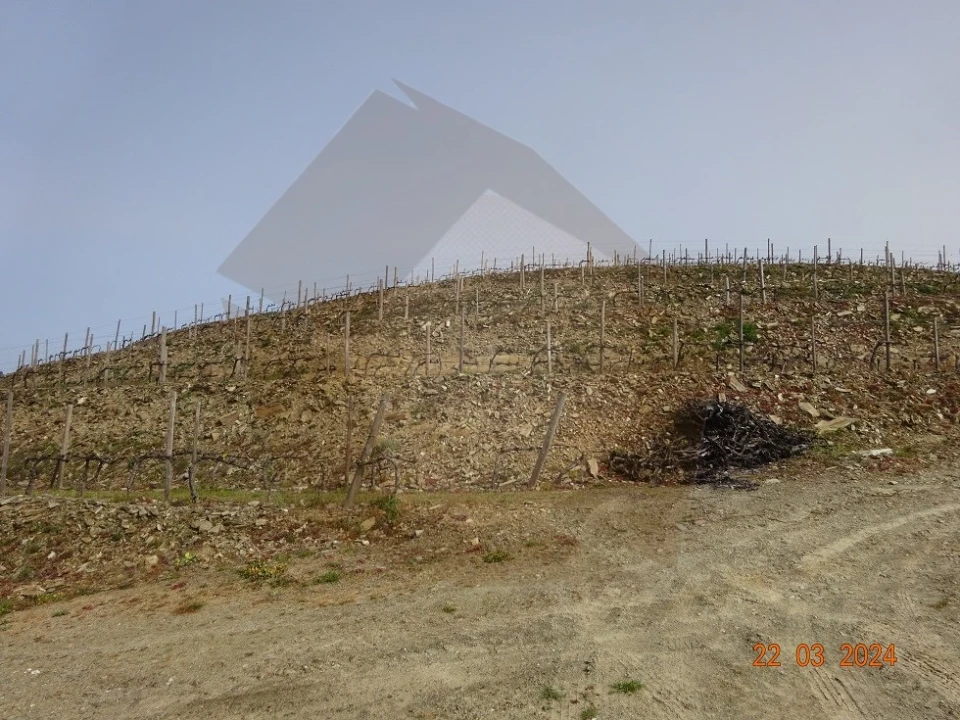 Quinta para Venda em Desejosa Foto 21