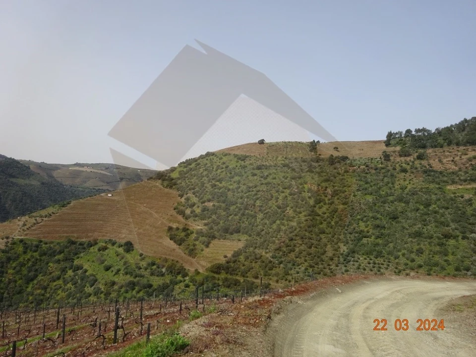 Quinta para Venda em Desejosa Foto 30