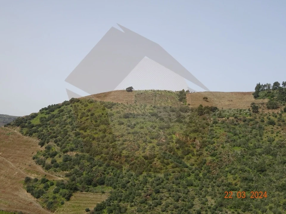 Quinta para Venda em Desejosa Foto 31