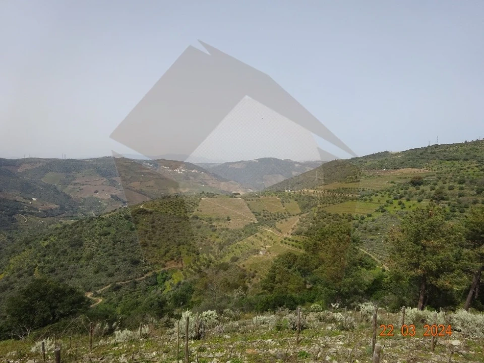 Quinta para Venda em Desejosa Foto 33