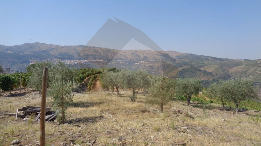 Quinta para Venda em Desejosa Foto 10