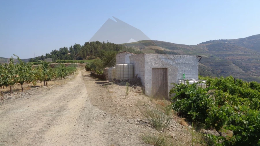 Quinta para Venda em Desejosa Foto 4