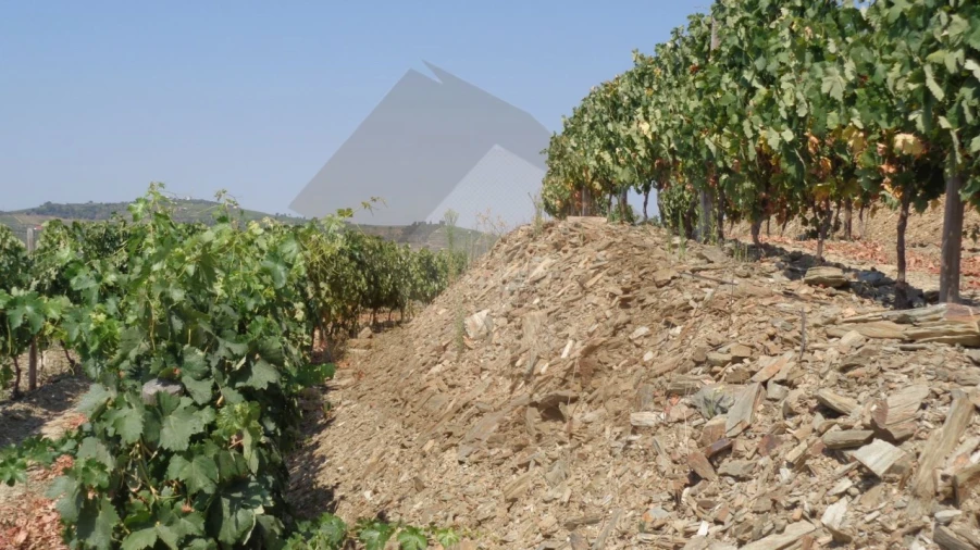 Quinta para Venda em Desejosa Foto 13