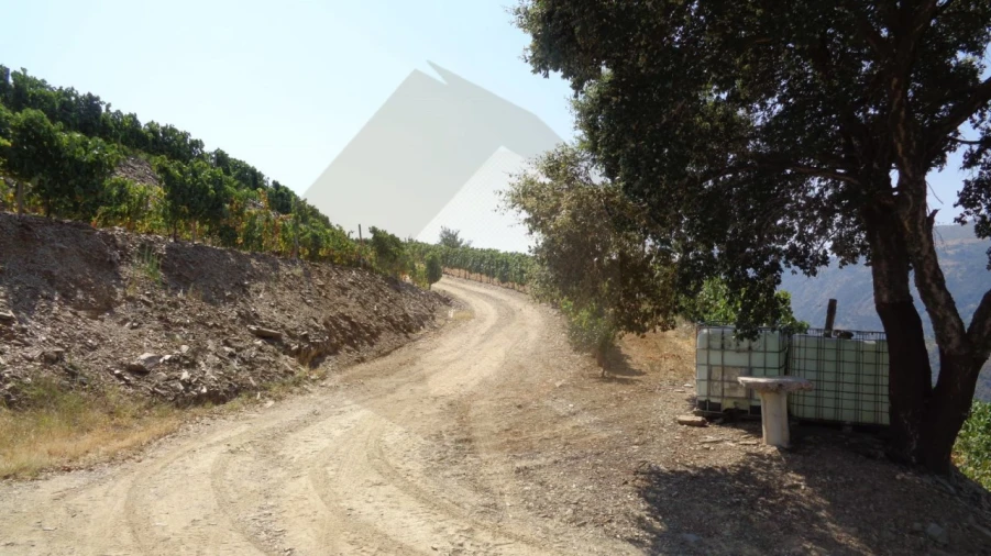 Quinta para Venda em Desejosa Foto 17