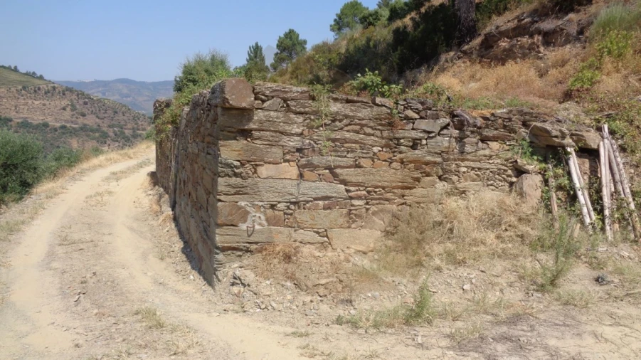 Quinta para Venda em Desejosa Foto 27