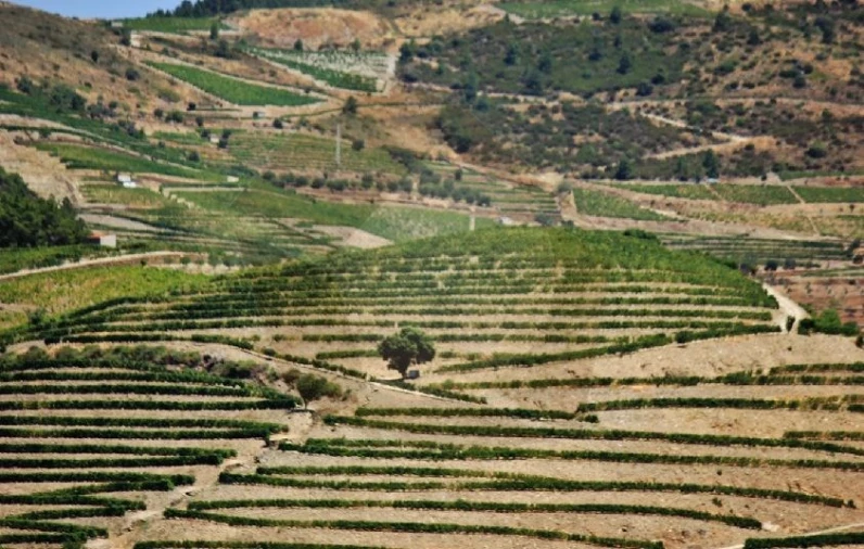 Quinta para Venda em Desejosa Foto 6