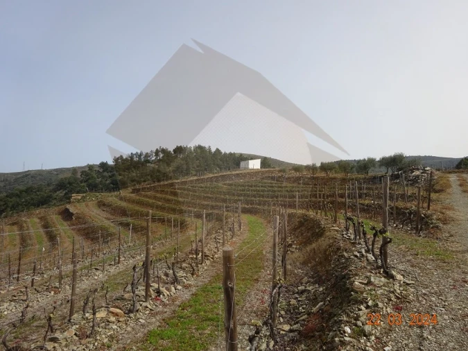 Quinta para Venda em Desejosa Foto 3